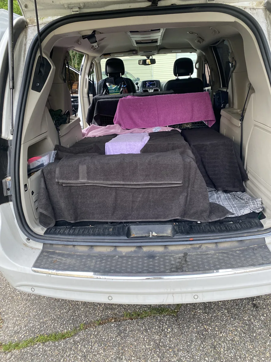 Rescue van loaded with blanket-covered traps, ready to transport cats to their vet appointments